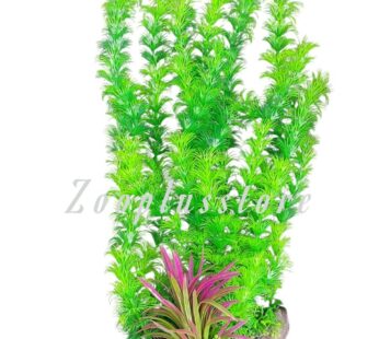 K1511 LONG PLANT