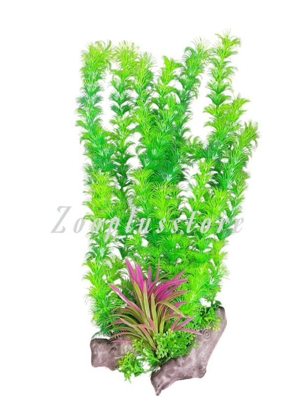 K1511 LONG PLANT