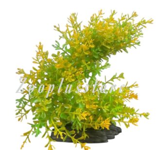 M936 YELLOW PLANT