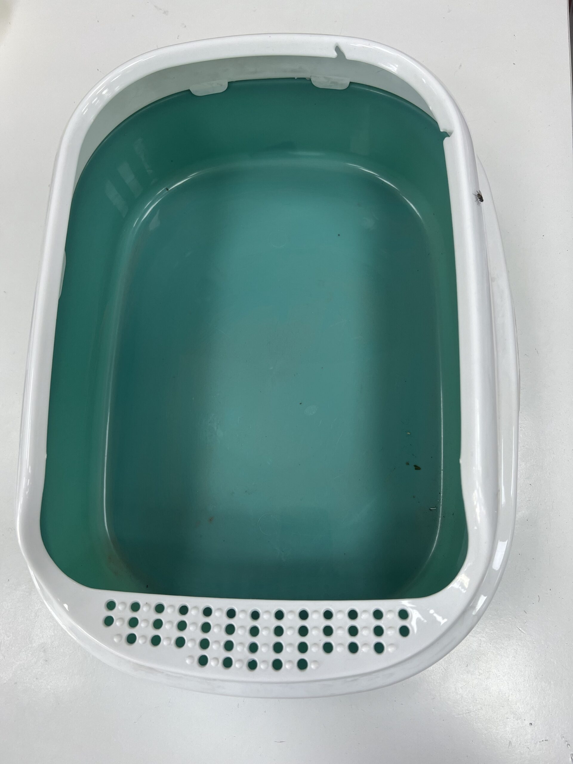 NEO STYLE LITTER TRAY 40*29*13 cm (PL 2029)