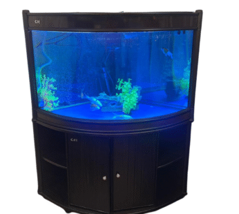 CAMRY CORNET AQUARIUM WOOD & COLOR