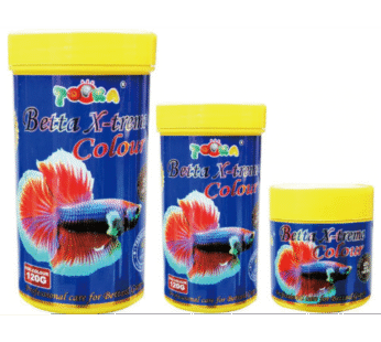 BETTA X-STREAM COLOR T28 SISO 100ML