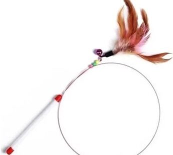 ROAD WITH FEATHER CAT TOY CZ1429