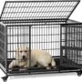 BEST AFFORDABLE DOG CAGE IN DUBAI