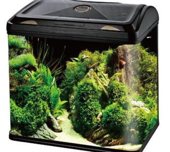RS 800 EL BLACK AQUARIUM